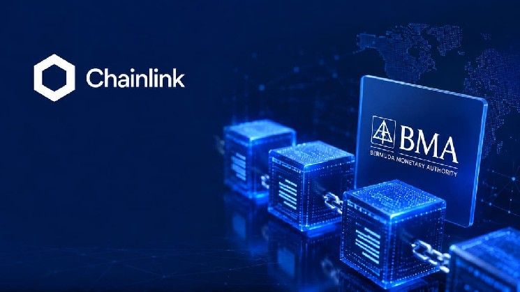 Chainlink يكمل مبادرة الامتثال مع هيئة النقد في برمودا