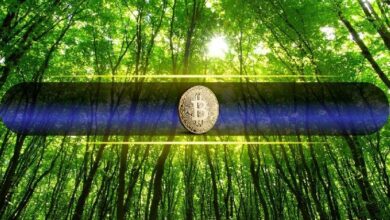 سعر البيتكوين يتجاوز 80,000 دولار لأول مرة منذ يناير