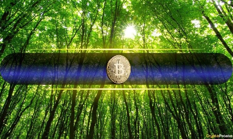 سعر البيتكوين يتجاوز 80,000 دولار لأول مرة منذ يناير