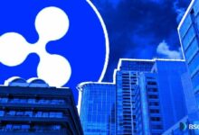 صناديق استثمار XRP الفورية تجذب 65 مليون دولار في مايو فقط