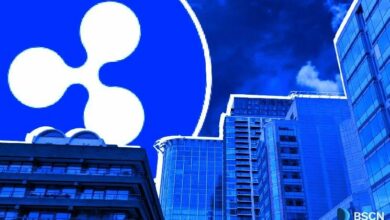 صناديق استثمار XRP الفورية تجذب 65 مليون دولار في مايو فقط