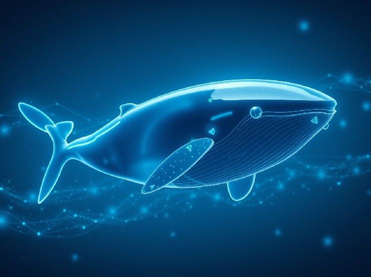 الحوت يضيف 10.6 مليون دولار من الإيثيريوم عبر CowSwap، ويمتلك الآن مركزًا بقيمة 290 مليون دولار على Aave وSpark