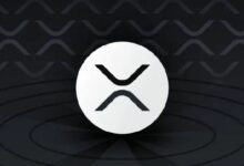 مُحدّث XRP Ledger fixCleanup3_1.3 يعزز كفاءة الشبكة