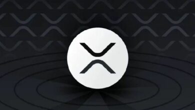 مُحدّث XRP Ledger fixCleanup3_1.3 يعزز كفاءة الشبكة