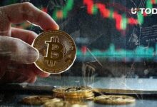 بيتكوين غير مرجح أن تصل إلى 100,000 دولار هذا العام: كالشي