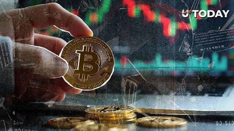 بيتكوين غير مرجح أن تصل إلى 100,000 دولار هذا العام: كالشي