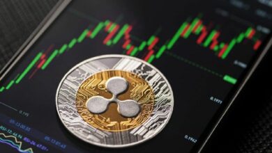 "نمو تقييم ريبل قبل الطرح العام يُحرك أخيرًا سعر عملة XRP"