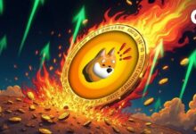مساهم في BONK يصف تداول عملات الميم بأنه "رهان بسبع شُعب"