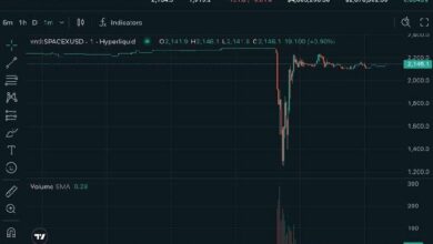 عقود هايبرليكود قبل الطرح العام لـSpaceX تنهار بنسبة 45%، وتصفية 1.5 مليون دولار