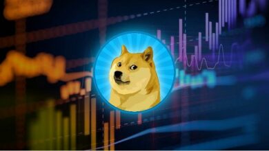 تراجع سعر الدوجكوين على المدى الطويل يضع DOGE تحت اختبار الدورة