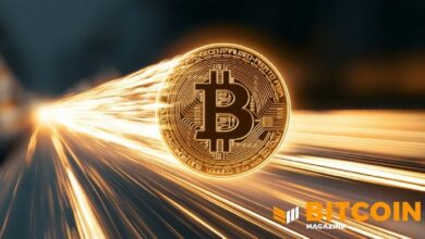 بيتكوين يختبر سردية التبني المؤسسي مع تراجعه، وبومبليانو يظل متفائلاً