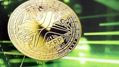 مؤسس EasyA: الذكاء الاصطناعي سيعزز تبني XRP Ledger في توقعات "صاعدة"