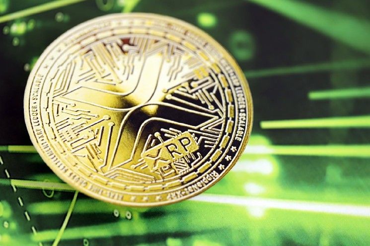 مؤسس EasyA: الذكاء الاصطناعي سيعزز تبني XRP Ledger في توقعات "صاعدة"