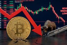 اضغط مبيعات البيتكوين مستمر وآلام السعر لم تنتهِ بعد