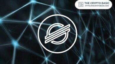 نجم "ستيلار" يقترب من قائمة أفضل 10 عملات رقمية مع صعود XLM بنسبة 30% خلال شهر