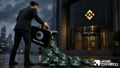 فريق بلازما يحوّل 9.6 مليون دولار من XPL – هل يستطيع المضاربون تجاهل هذه الإشارات التحذيرية؟