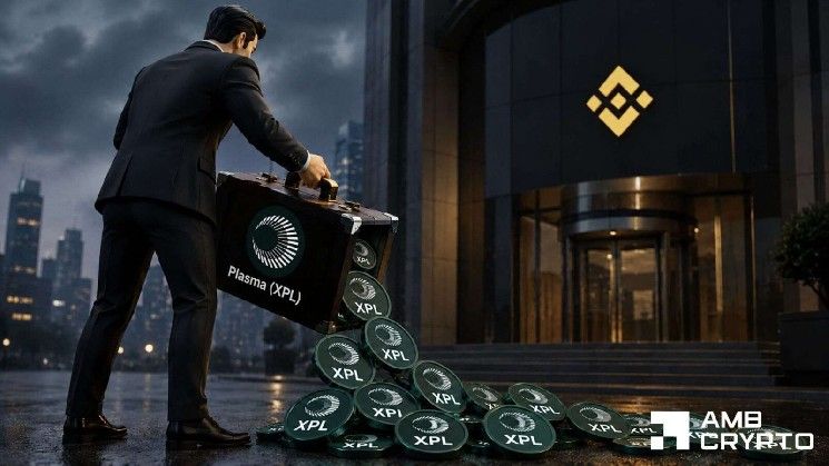 فريق بلازما يحوّل 9.6 مليون دولار من XPL – هل يستطيع المضاربون تجاهل هذه الإشارات التحذيرية؟