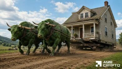 تطبيق DeFi "HOME" يرتفع بنسبة 10% – هل يستعيد السعر قمته التاريخية عند 0.077 دولار؟