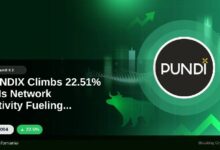 إرتفاع PUNDIX بنسبة 22.51% — هل نشاط الشبكة يغذي النمو؟