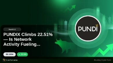 إرتفاع PUNDIX بنسبة 22.51% — هل نشاط الشبكة يغذي النمو؟