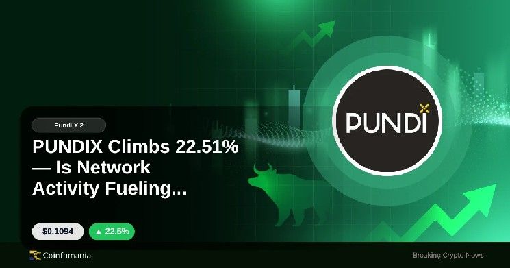 إرتفاع PUNDIX بنسبة 22.51% — هل نشاط الشبكة يغذي النمو؟