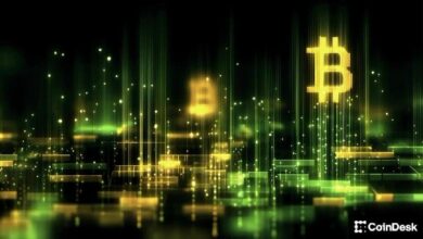 طبقات البيتكوين الثانية تواجه اختبار واقع السوق الهابطة
