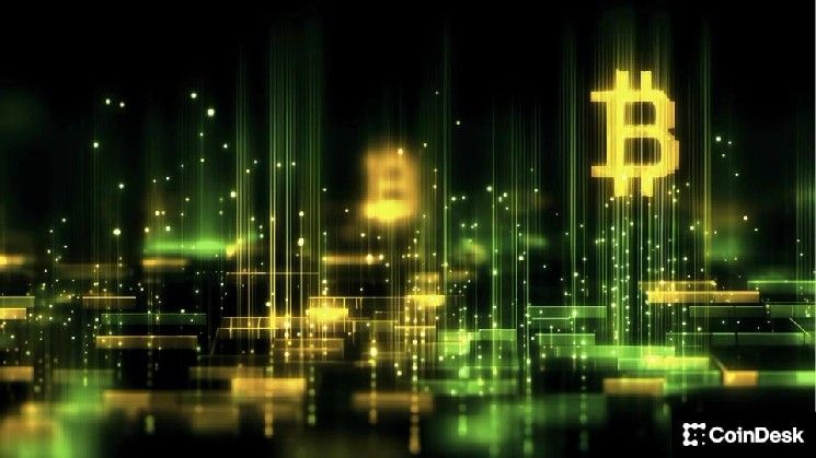 طبقات البيتكوين الثانية تواجه اختبار واقع السوق الهابطة