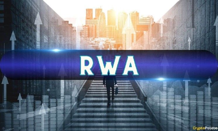 انسَ عملات الميم: الأسهم المُرمزة والأصول الواقعية تصبح أسرع الفئات نموًا