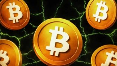 ضغط جديد على سعر بيتكوين مع تحركات محافظ بلاك روك وونكلفوس تثير التكهنات