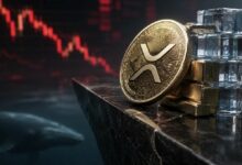 **XRP يستهدف 0.90 دولار مع صراع طلب صناديق الاستثمار المتداولة ضد ضغوط بيع الحيتان**