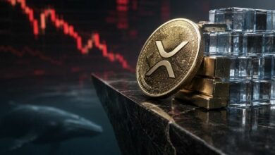 **XRP يستهدف 0.90 دولار مع صراع طلب صناديق الاستثمار المتداولة ضد ضغوط بيع الحيتان**