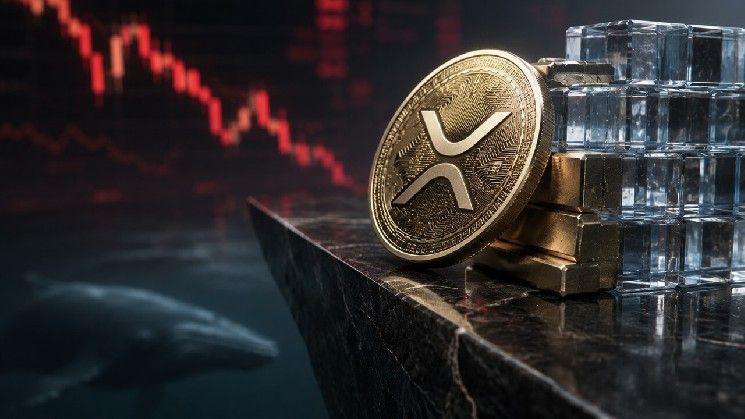 **XRP يستهدف 0.90 دولار مع صراع طلب صناديق الاستثمار المتداولة ضد ضغوط بيع الحيتان**