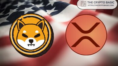 **كالشي تسعى للحصول على موافقة هيئة تداول السلع الآجلة (CFTC) على عقود XRP وشيبا إينو الآجلة الدائمة في السوق الأمريكية**