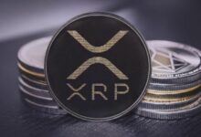 "XRP إلى 30 دولارًا؟ خبير السوق: أفضل فرصة للدخول قد تكون الآن"