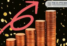 أفضل عملات الميم حسب القيمة السوقية في 2026 (قائمة محدثة)