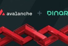 أفالانش تتيح الوصول إلى سبيس إكس، صناديق المؤشرات وأسهم أمريكا عبر ديناري