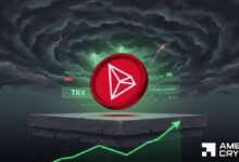 لماذا تعتبر سحوبات الحيتان بقيمة 43 مليون دولار من ترون (TRON) مهمة لمتداولي TRX