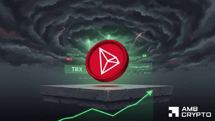 لماذا تعتبر سحوبات الحيتان بقيمة 43 مليون دولار من ترون (TRON) مهمة لمتداولي TRX