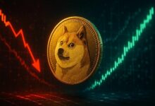 عملة Dogecoin عند 0.09 دولار: خوف شديد يلتقي بانضغاط تقلب محتدم