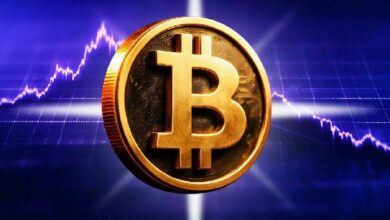 تشاماث باليهابيتيا: بيتكوين قد تصل إلى 1.14 مليون دولار مع تكرار دورة النصف