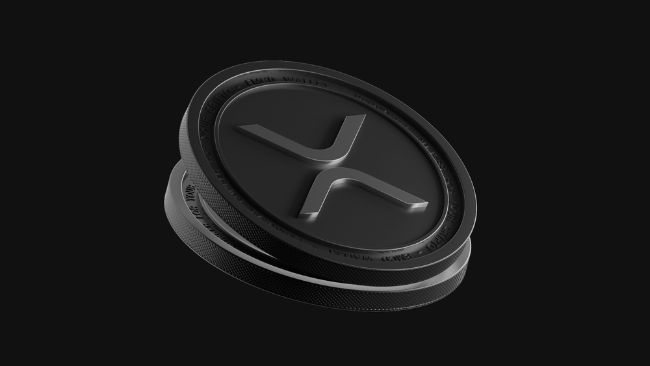 غارلينغهاوس قال "ربما" — حاملو عملة الـXRP سمعوا وعداً بشأن الاكتتاب العام لريبل