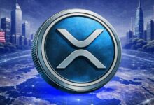 ريبل تفوز بترخيص أوروبي تاريخي: حاملو XRP يقولون وماذا في ذلك؟