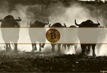 "محلل: بيتكوين قد تسجل قمم صيفية جديدة خلال أسابيع إذا حافظت على مستوى 73 ألف دولار"