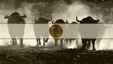"محلل: بيتكوين قد تسجل قمم صيفية جديدة خلال أسابيع إذا حافظت على مستوى 73 ألف دولار"
