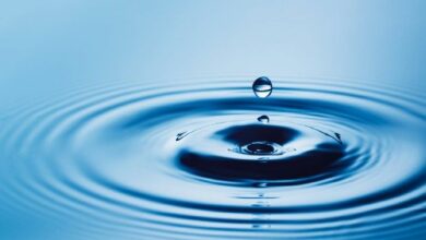 ريبل تنضم إلى منظمة Water.org