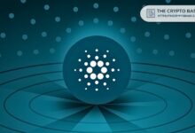 كاردانو قد يدخل دورة طويلة الأجل جديدة بعد تصحيح استمر لسنوات