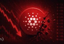 بعد انهيار كاردانو، هل ستكون XRP وإيثريوم التاليتين؟