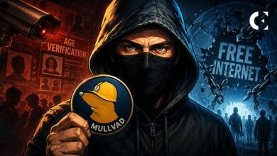 مزود VPN مَولفاد: التحقق من العمر لوسائل التواصل الاجتماعي سينهي الإنترنت المجاني
