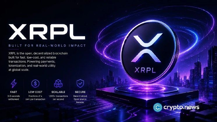 مطور ريبلي السابق: دفتر حسابات XRP سبق سولانا بسنوات في سباق التداول اللامركزي