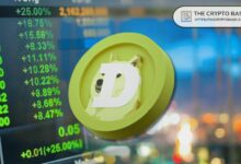 نظرية دورة الدوجكوين البالغة 3.5 سنوات تكشف أين ومتى سيبلغ DOGE ذروته في الدورة الصاعدة القادمة